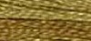 cchazel nut.jpg